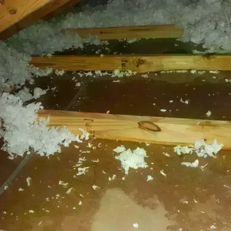 Attic Water Damage in Winnsboro Mills, SC